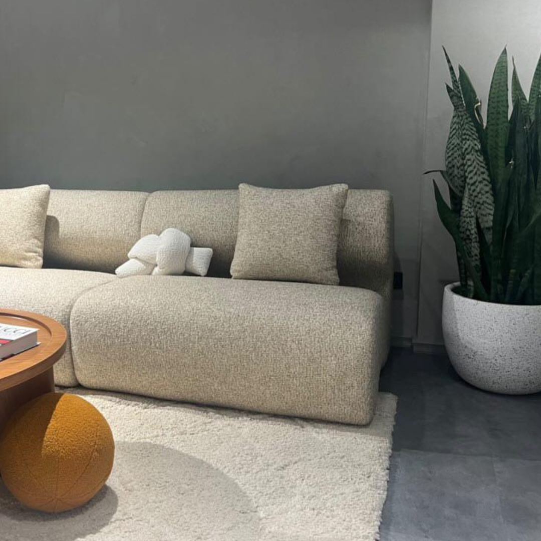 DOVE Living Room
