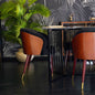 GALASSIA Dining Chair